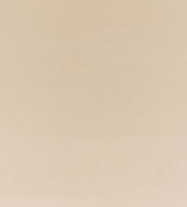 Ice II Fabric by Kirkby Design Buff