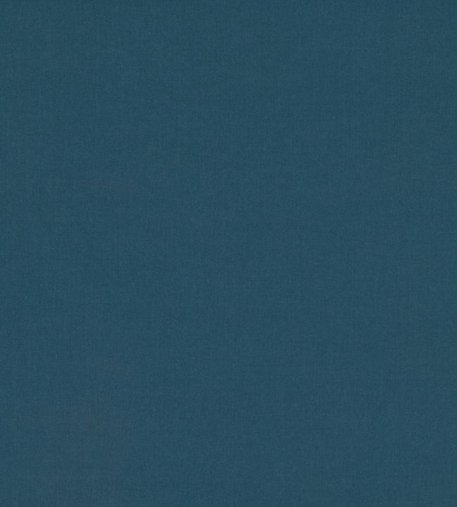 Ice II Fabric by Kirkby Design Cadet