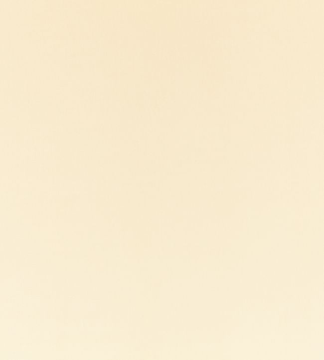 Ice II Fabric by Kirkby Design Chalk