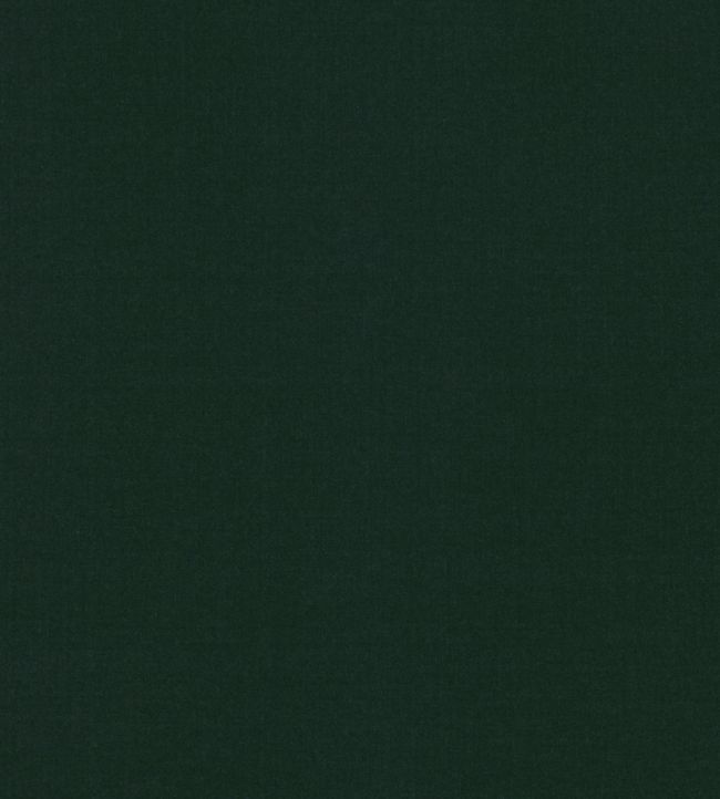 Ice II Fabric by Kirkby Design Evergreen