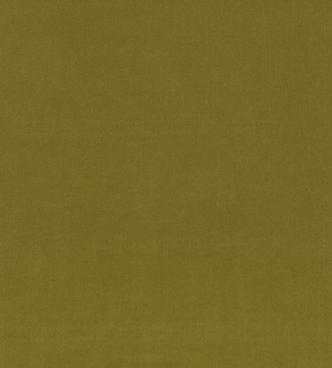 Ice II Fabric by Kirkby Design Fern
