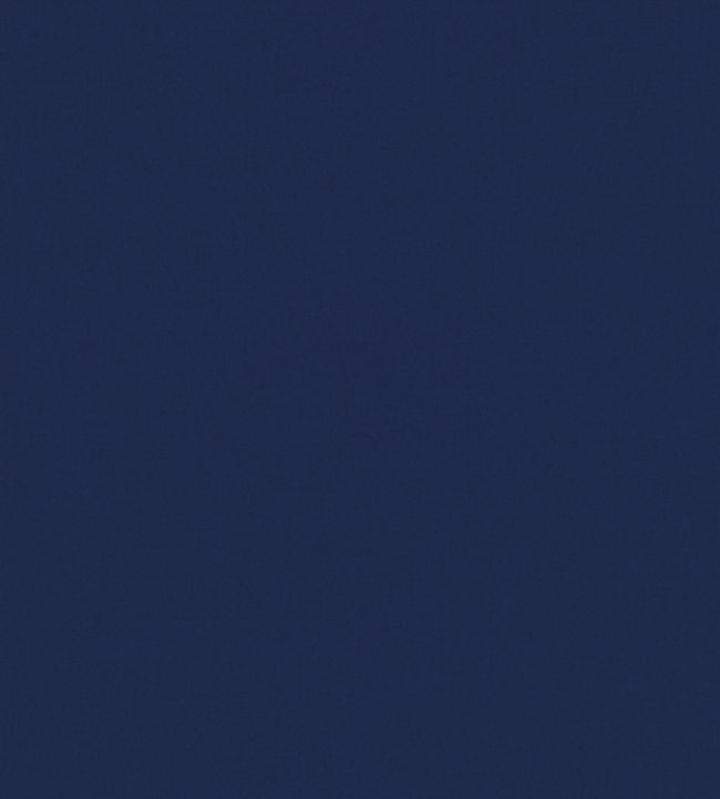 Ice II Fabric by Kirkby Design Indigo