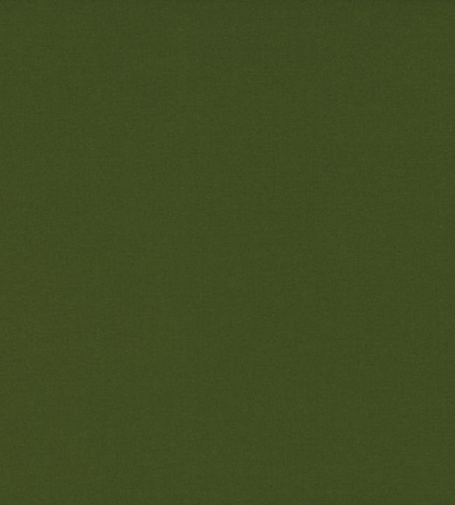 Ice II Fabric by Kirkby Design Olive