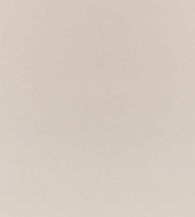 Ice II Fabric by Kirkby Design Porcini