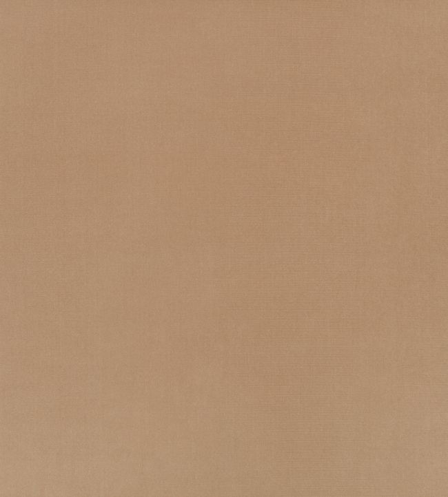 Ice II Fabric by Kirkby Design Truffle
