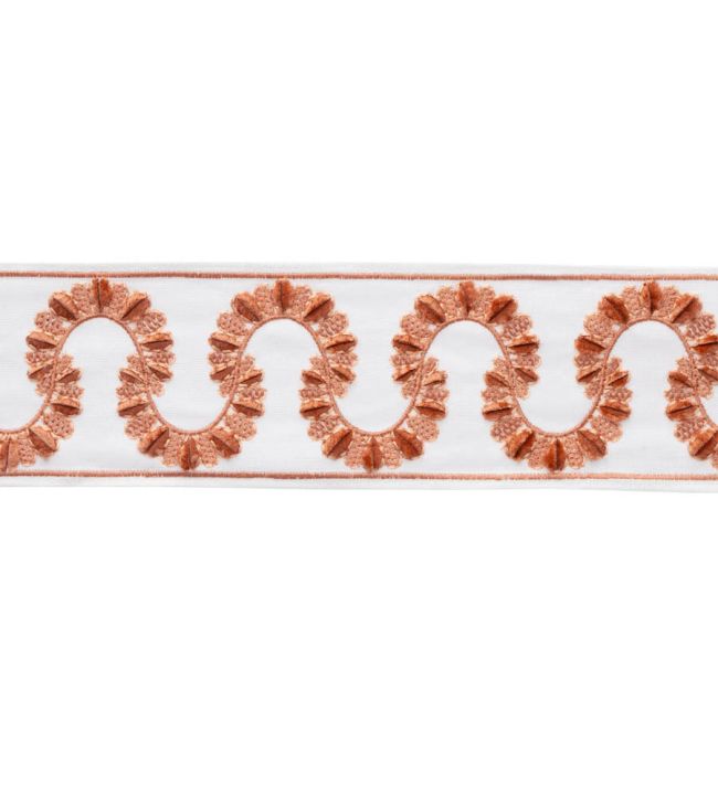 Ilana Embroidered Border Trimming by Samuel & Sons Coral