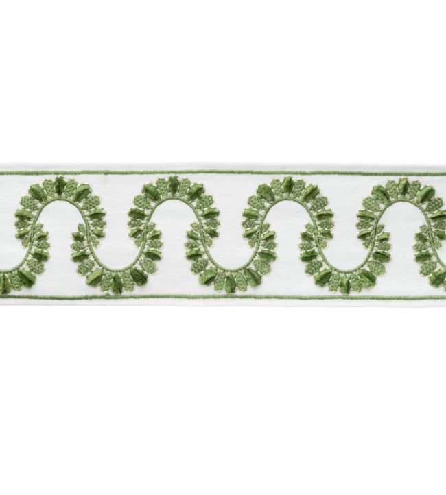 Ilana Embroidered Border Trimming by Samuel & Sons Fern