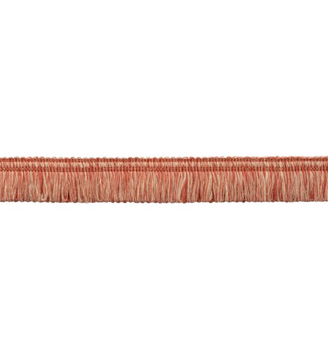 Ilana Loop Fringe Trimming by Samuel & Sons Coral