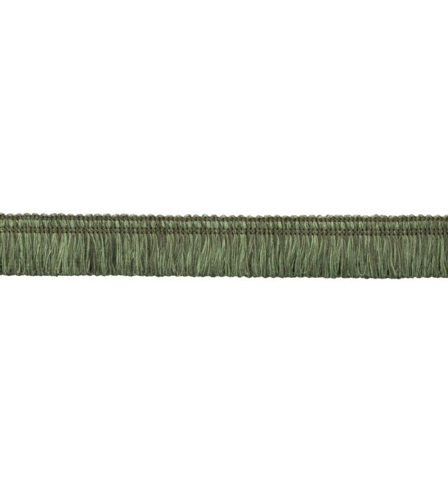 Ilana Loop Fringe Trimming by Samuel & Sons Evergreen