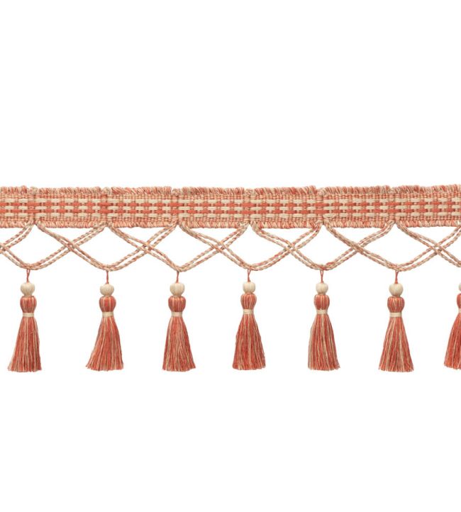 Ilana Tassel Fringe Trimming by Samuel & Sons Coral