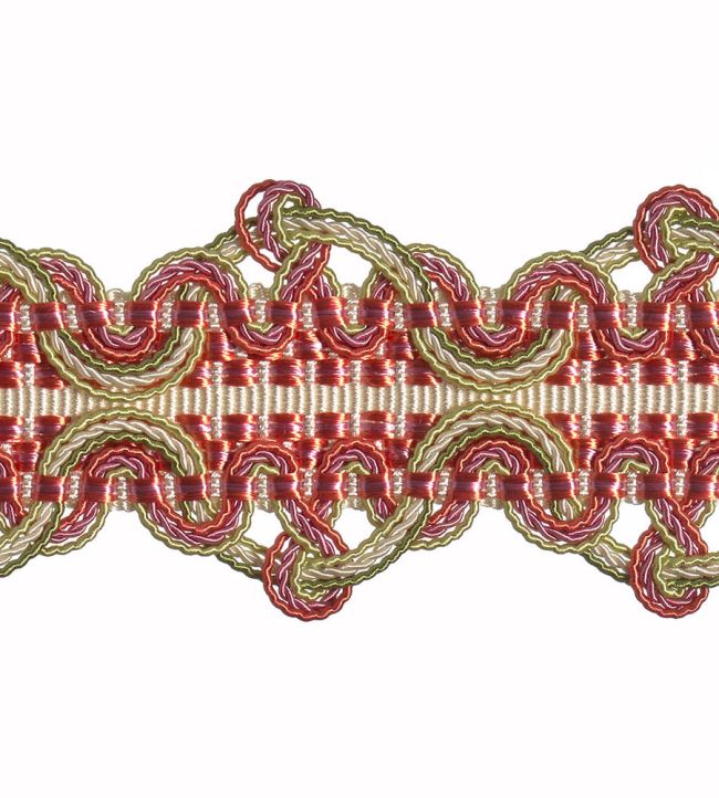Imperiale Braid Trimming by Houles Primavera