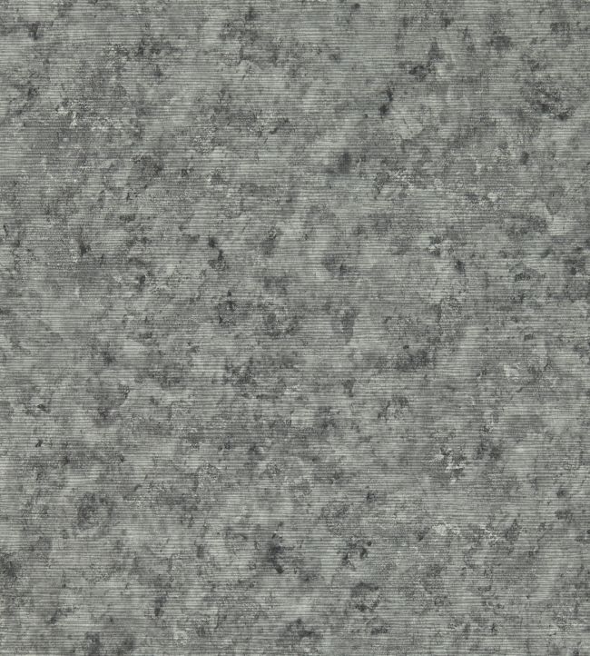 Impression Wallpaper by Clarke & Clarke Charcoal