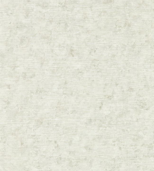 Impression Wallpaper by Clarke & Clarke Stone