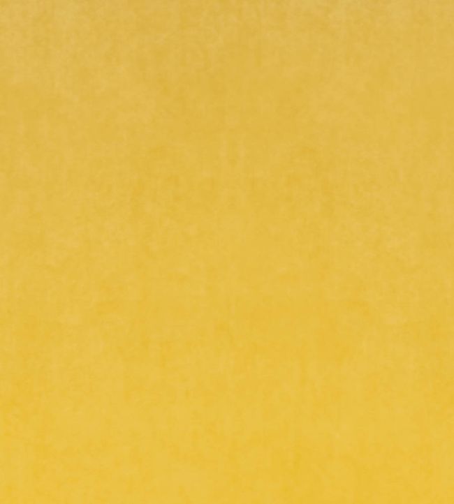 Inca Performance Velvet Fabric by Christopher Farr Cloth Limone
