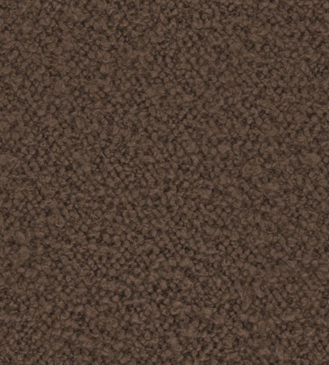 Infinity Boucle Fabric by Zimmer + Rohde Chocolate