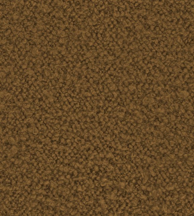 Infinity Boucle Fabric by Zimmer + Rohde Earth Brown
