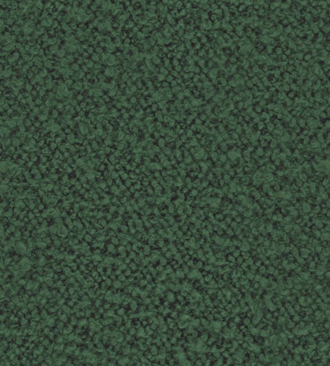 Infinity Boucle Fabric by Zimmer + Rohde Forest Green