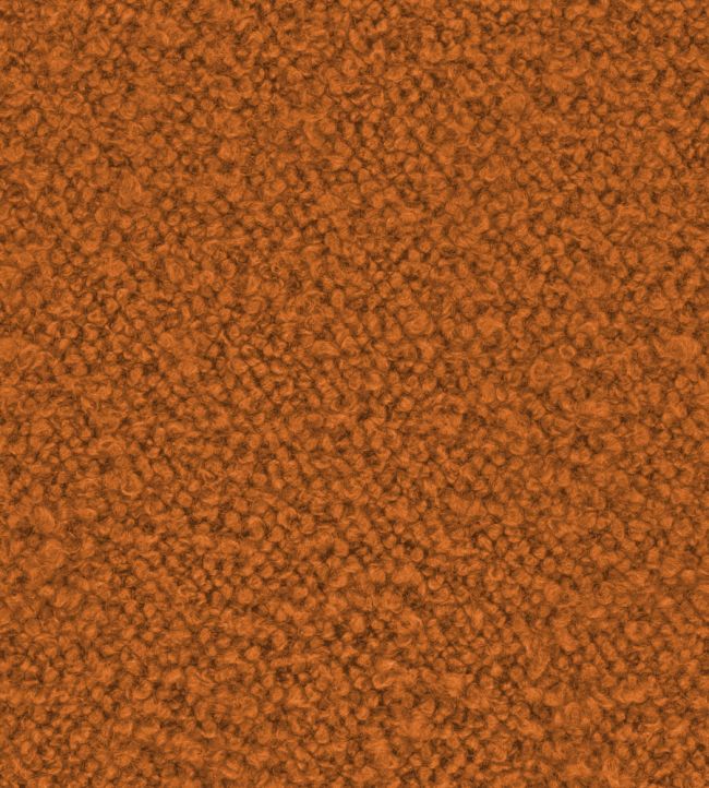 Infinity Boucle Fabric by Zimmer + Rohde Orange