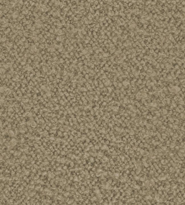 Infinity Boucle Fabric by Zimmer + Rohde Tea Brown