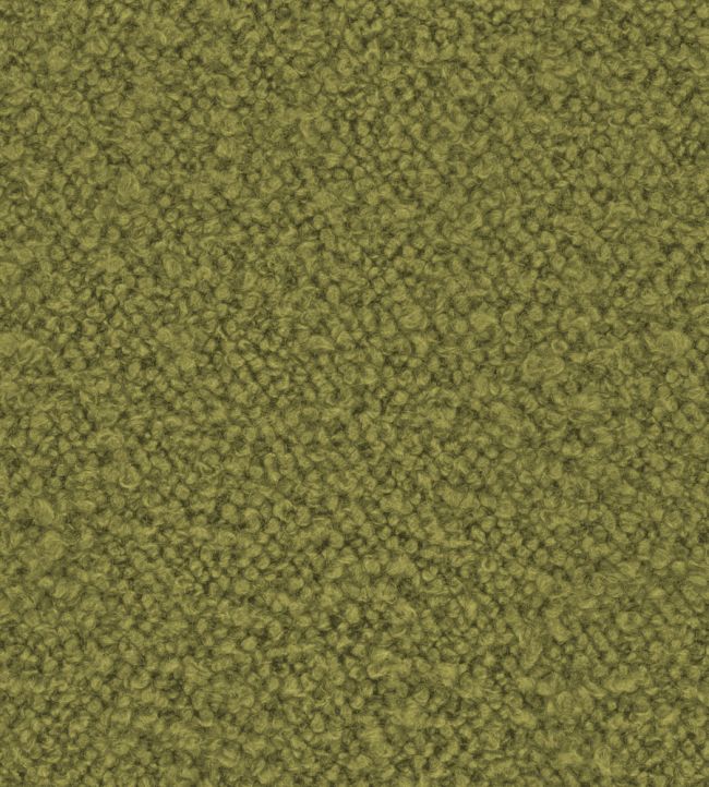 Infinity Boucle Fabric by Zimmer + Rohde Warm Green