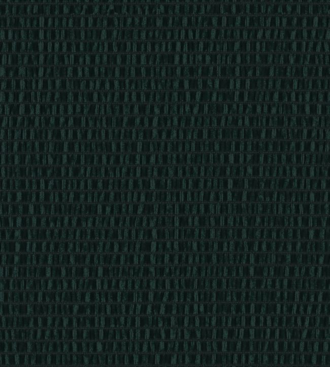Infinity Crush Fabric by Zimmer + Rohde Black