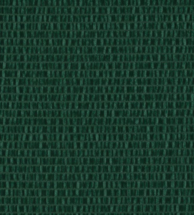 Infinity Crush Fabric by Zimmer + Rohde Deep Forest Green