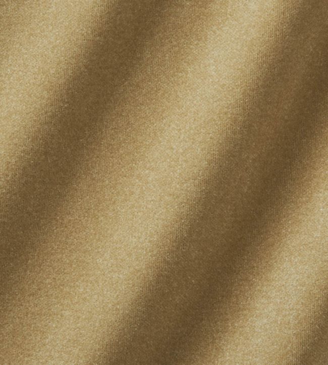 Infinity Plus Fabric by Zimmer + Rohde 884