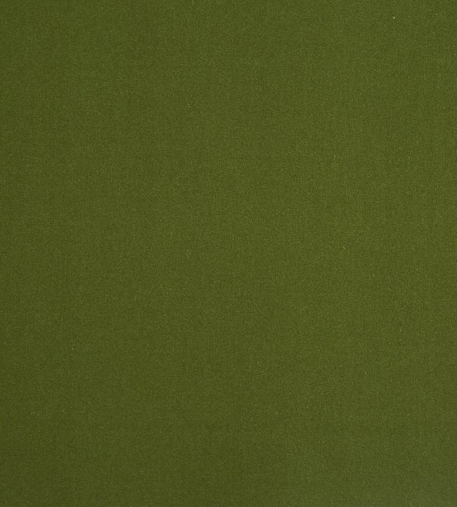 Ingleton Fabric by Prestigious Textiles Grass