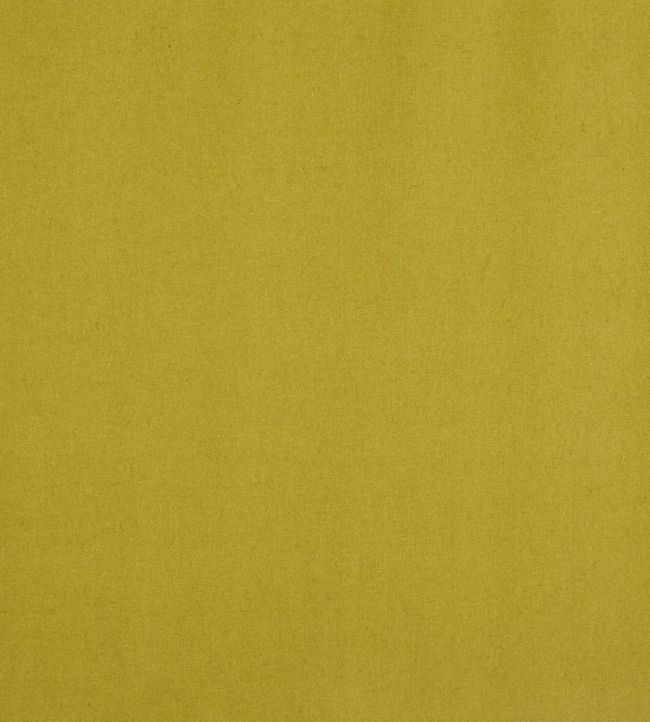Ingleton Fabric by Prestigious Textiles Lime