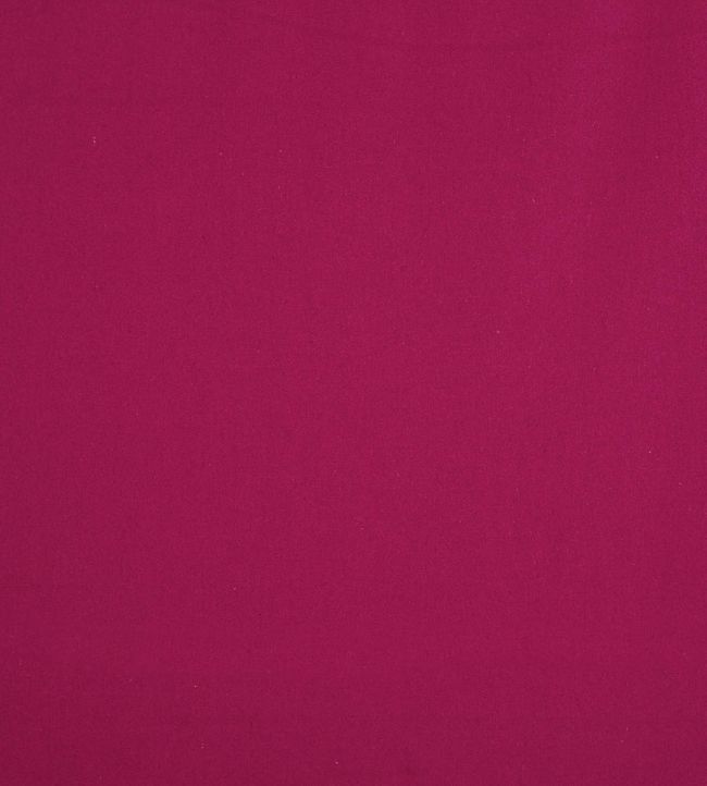 Ingleton Fabric by Prestigious Textiles Lipstick
