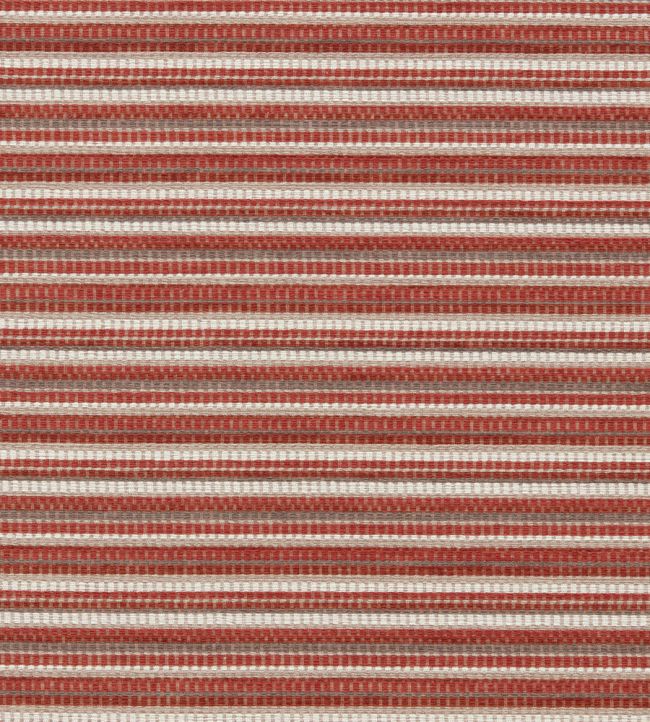 Integer Fabric by Clarke & Clarke Spice