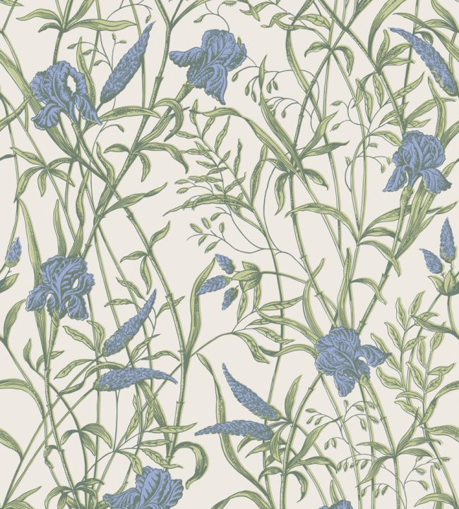 Iris Wallpaper by Cole & Son Iris Blue on Stone