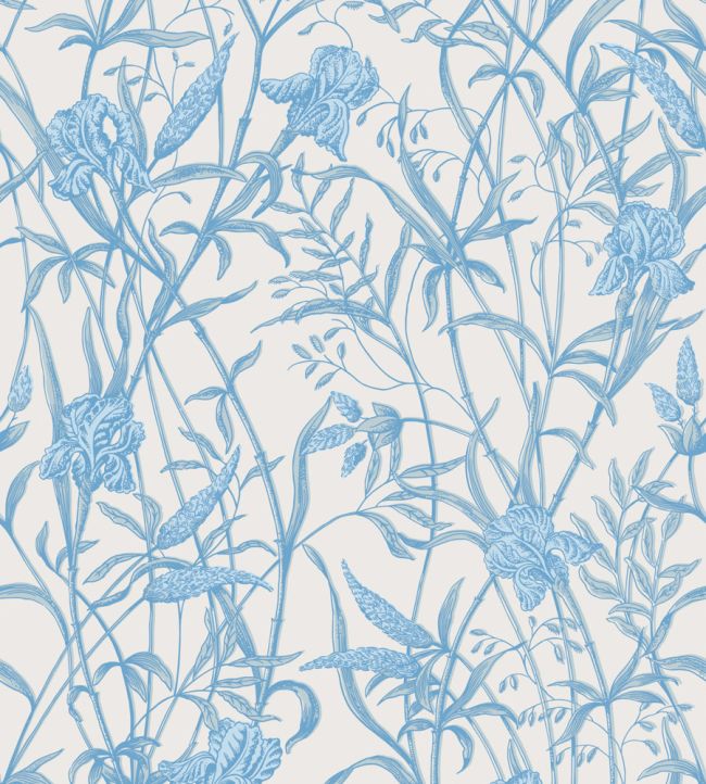 Iris Wallpaper by Cole & Son Soft Cerulean on Porcelain