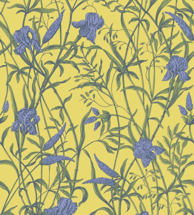 Iris Wallpaper by Cole & Son Violet on Citrine