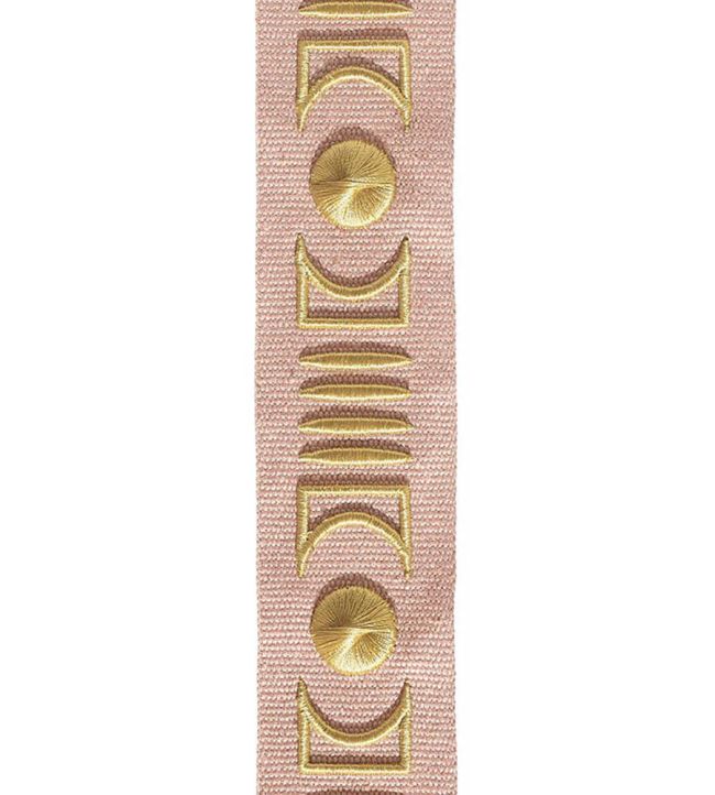 Isadore Embroidered Braid 45mm Trimming by Houles 9400