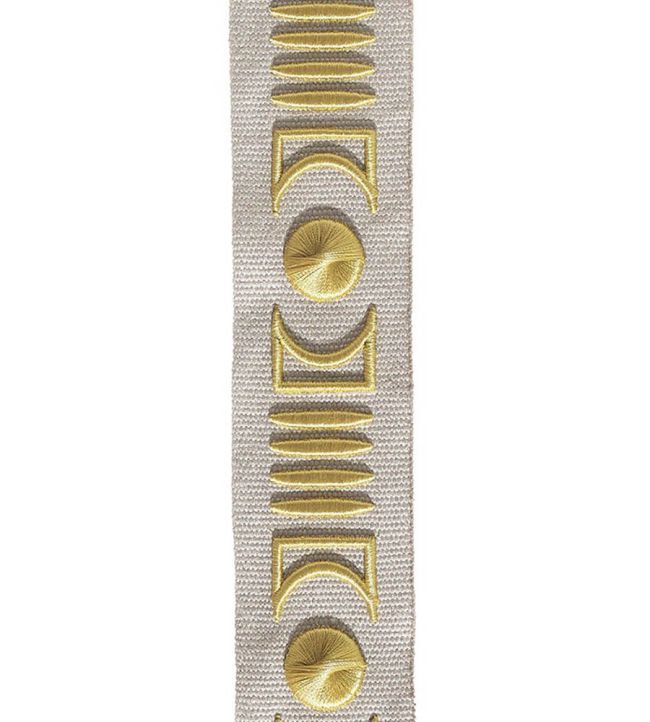 Isadore Embroidered Braid 45mm Trimming by Houles 9820