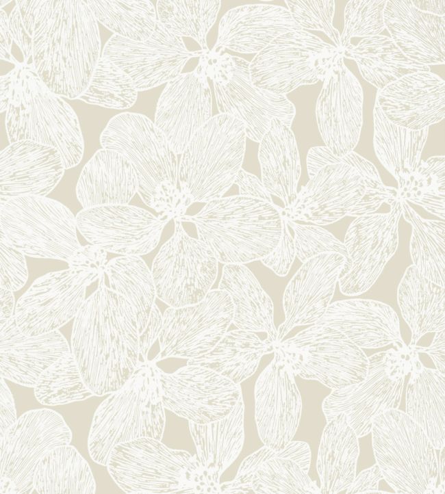Island Orchid Wallpaper by Thibaut Beige