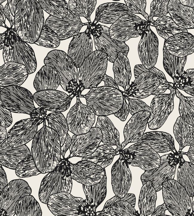 Island Orchid Wallpaper by Thibaut Black and White