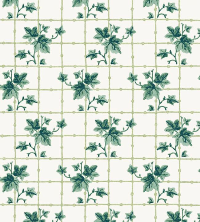 Ivy Trellis Wallpaper by DADO 02 Evergreen