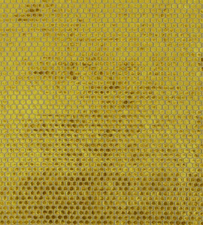 Jabot Fabric by Designers Guild Mustard