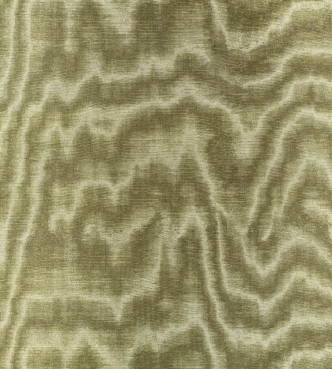 Jacopo Fabric by Zinc Cypress