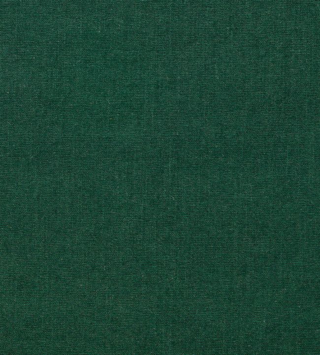 Jaipur Fabric by Clarke & Clarke Forest