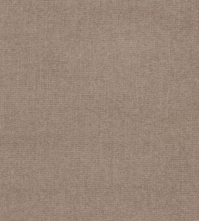 Jaipur Fabric by Clarke & Clarke Fossil
