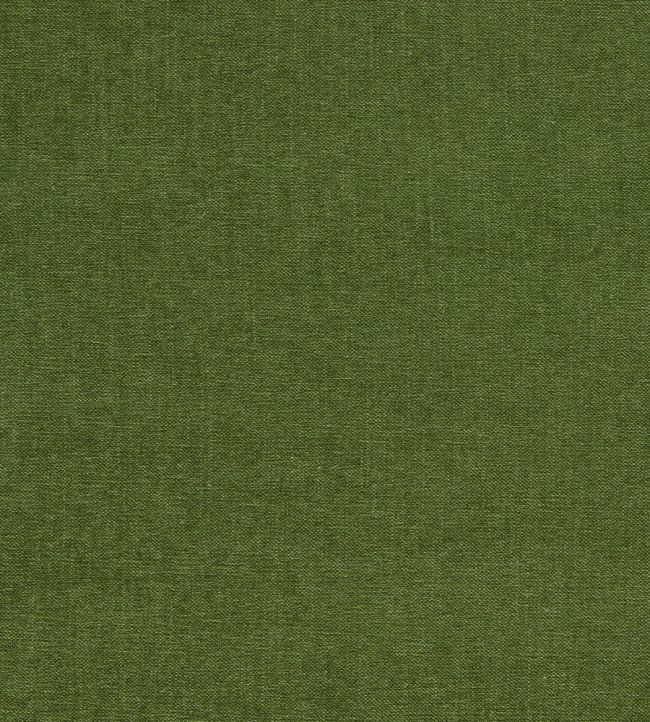 Jaipur Fabric by Clarke & Clarke Herb