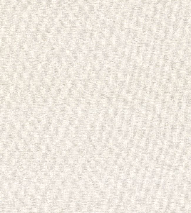 Jaipur Fabric by Clarke & Clarke Ivory