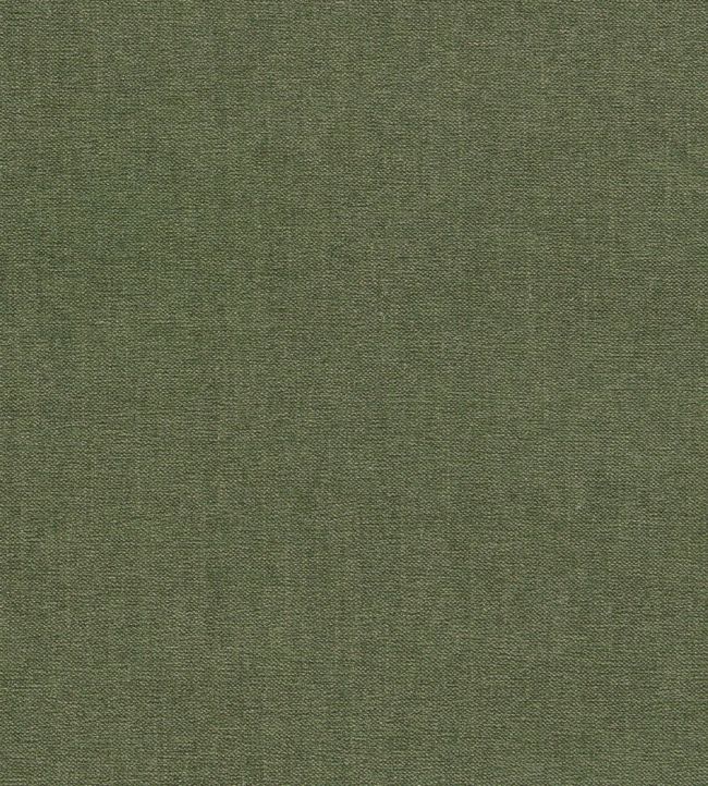 Jaipur Fabric by Clarke & Clarke Moss