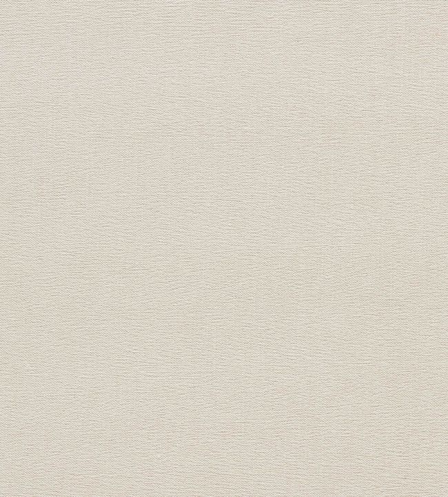 Jaipur Fabric by Clarke & Clarke Pebble