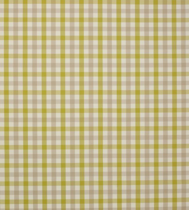 Kali Check Fabric by Jane Churchill Leaf Green