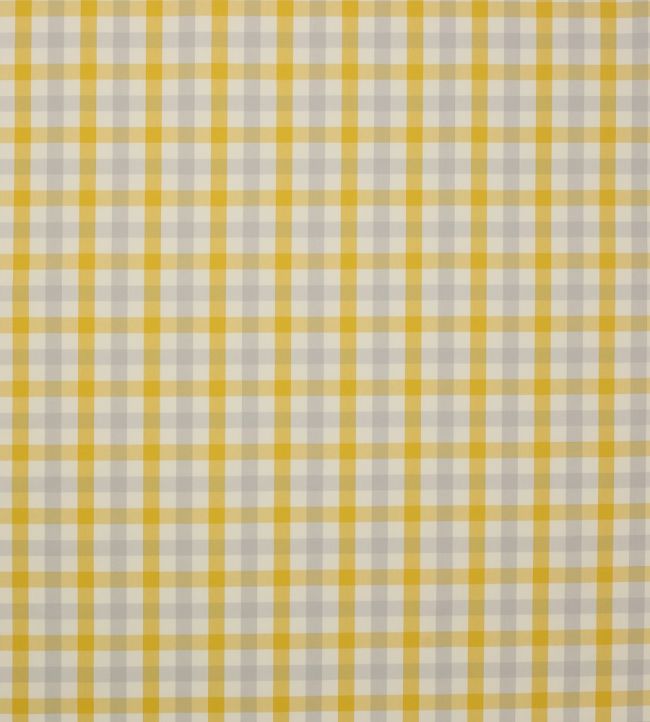 Kali Check Fabric by Jane Churchill Yellow