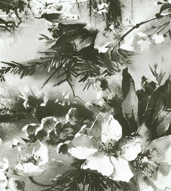 Brume Wallpaper by Jean Paul Gaultier Ecru / Noir